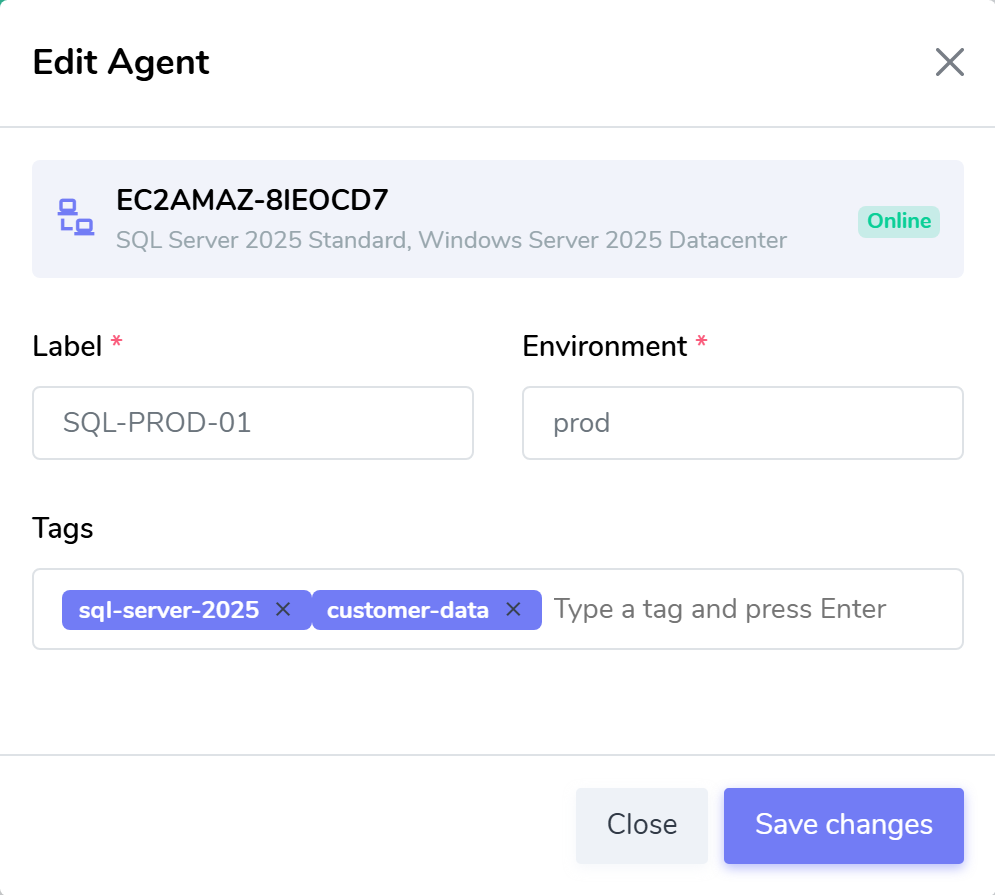 The Edit Agent dialog