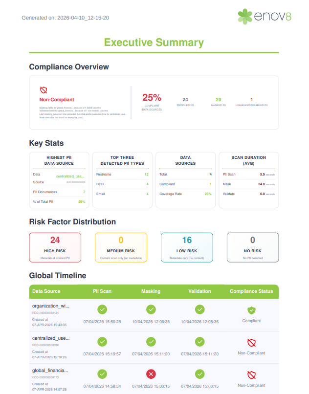 Executive Summary 1